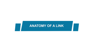 Anatomy-of-a-link
